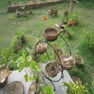Bed And Breakfast, Homestay., Ajmer 1